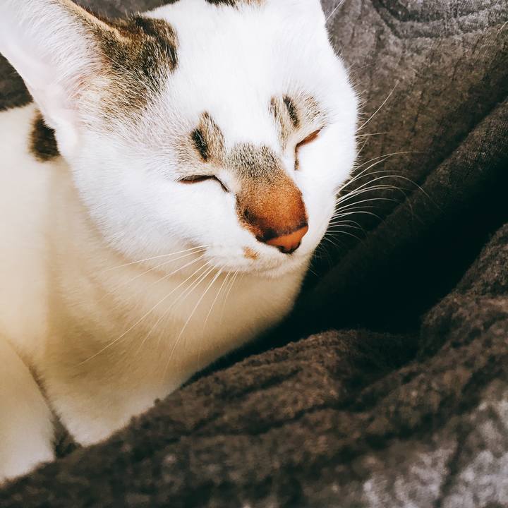 B9e4f856 4b0a 4e1e ab37 698572c496fd