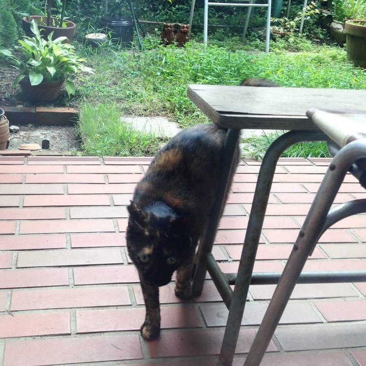 B9e52d10 b4aa 4c23 b2b3 2d9419770d22