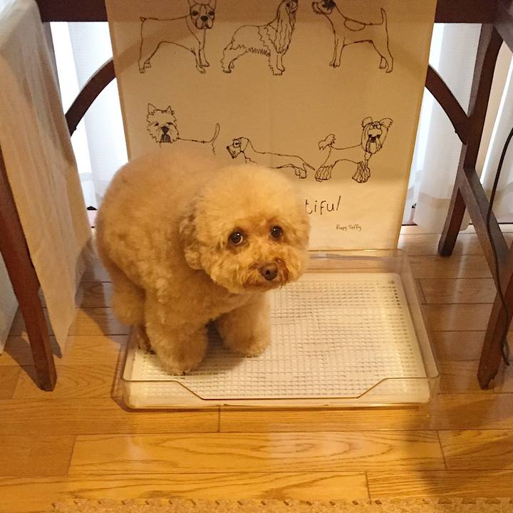 B9e59038 da4c 47ca b5b3 64f043e32e31