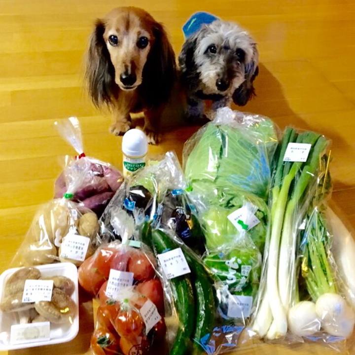 B9e5dcb9 a6cd 4ba9 82f7 f89c49572faf