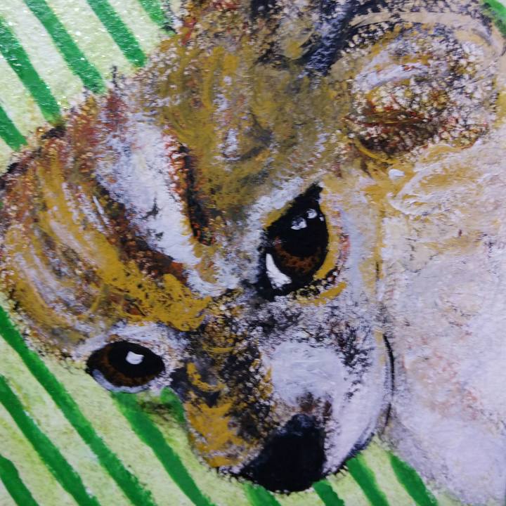 B9e5fcf5 5060 4a4e b7fc 32319fbc9362