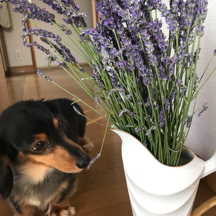 B9e67bd3 e653 4834 a8c7 8d45fade8c72