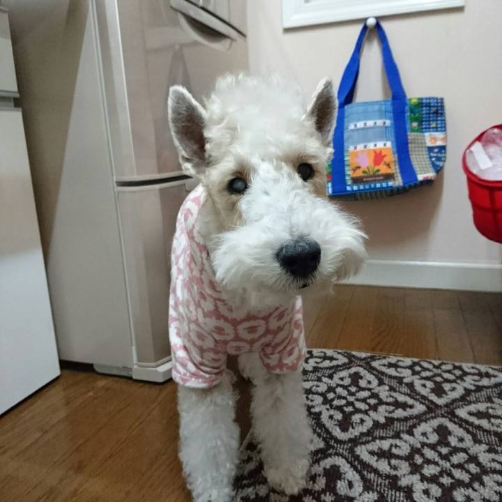 B9e68a62 fbbe 4b93 835a 371c8ca83495