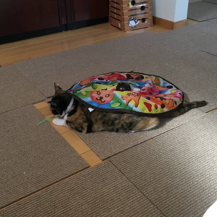 B9e6c939 c51a 43fe 908d 3fe68be7b8f5