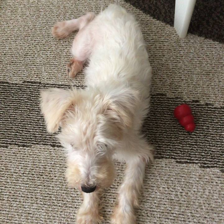 B9e6dedb 2d2f 420c 999d 89b37a38e991