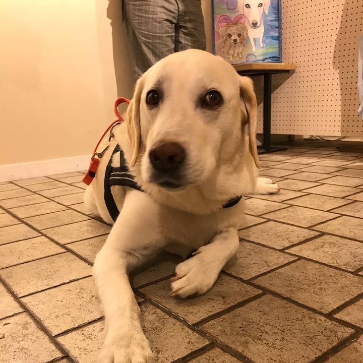 B9e6e6b5 74d8 4705 8d63 053017b3cf01