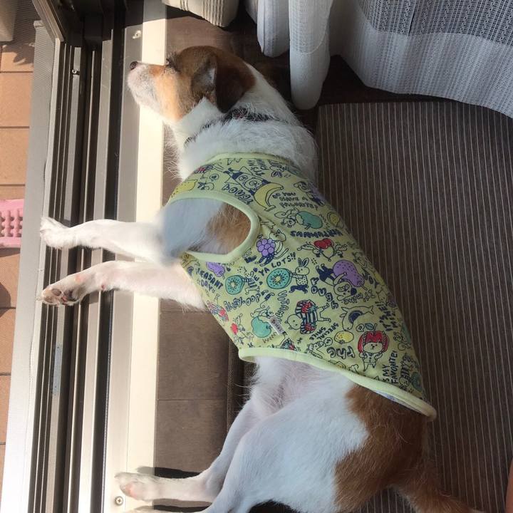 B9e710d6 0860 445b 9ea7 f29b26eb38ed