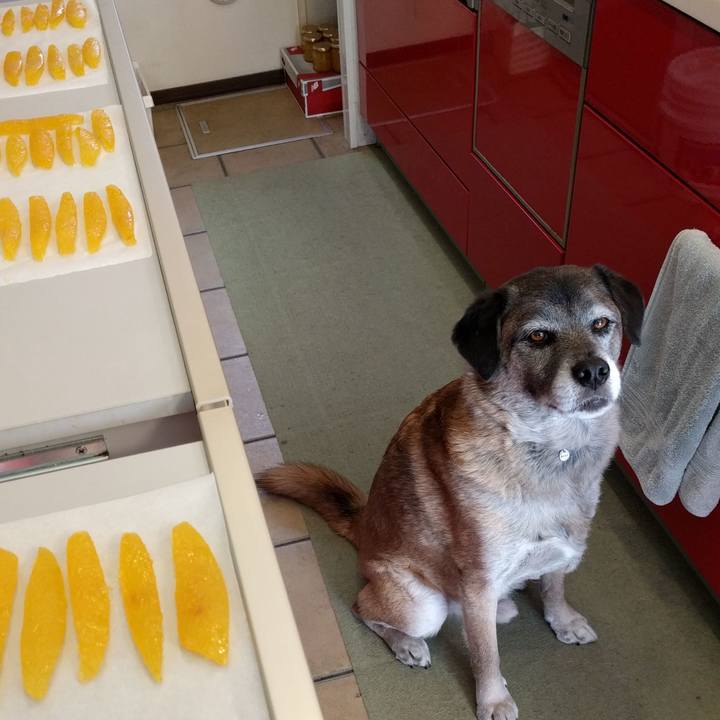 B9e78b74 80d4 4318 885e 9dc2fe6701b3