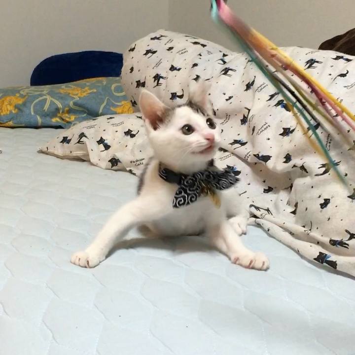 B9e7aada 2631 4ed0 abd6 47fc64d48c13