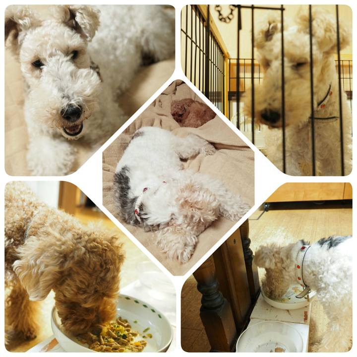 B9e7dc2d c65c 49b4 b693 3c11d13dcd17