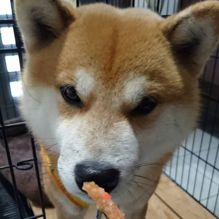 B9e821eb dfff 4a10 a858 14fe179b84df