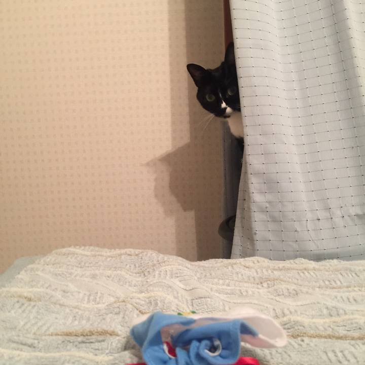 B9e89a32 de9d 4c3c 8a07 bc906fe516cf