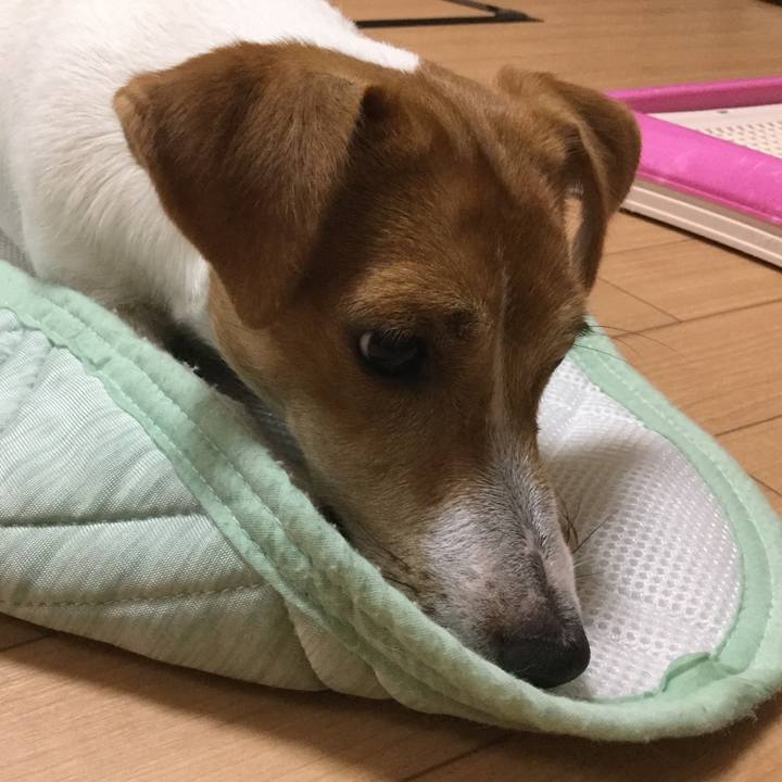 B9e9f781 a531 4880 9216 f8a08bcfbcb4