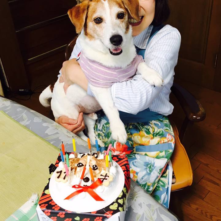 B9e9f9ca eba1 4ae1 950c 67011f30dfb8