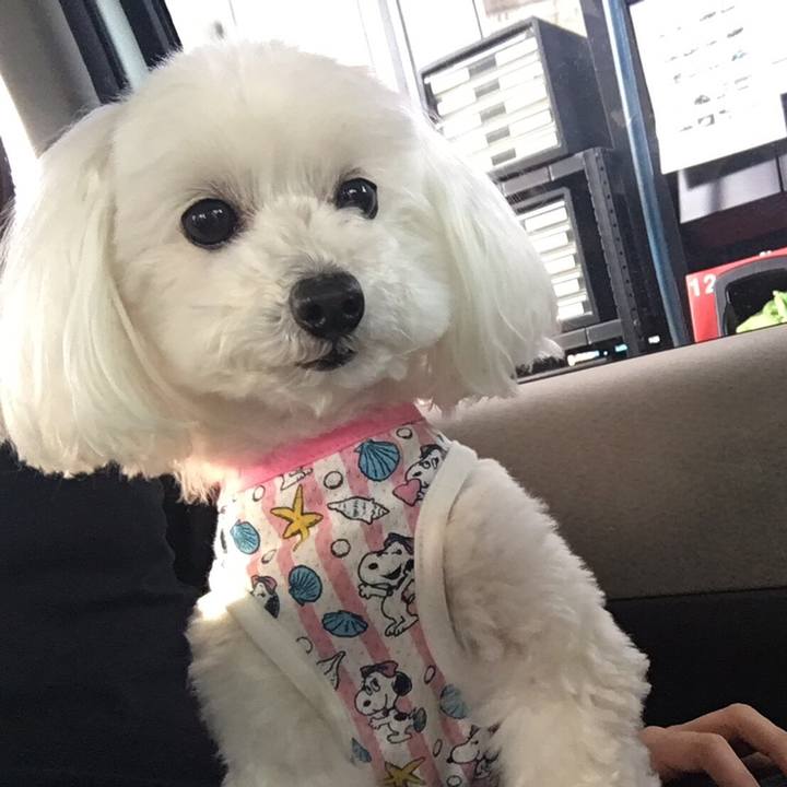 B9ea3393 5c60 4a23 9d48 b39e705b1aa7