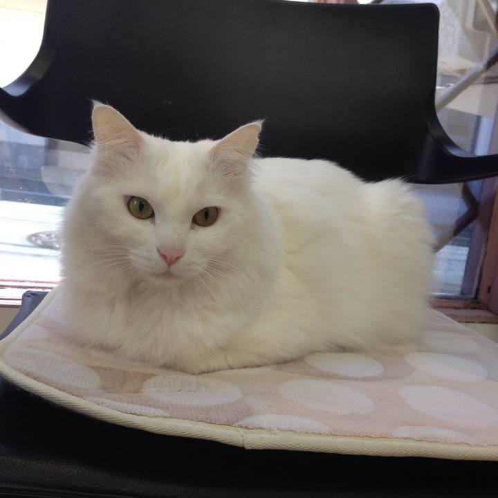 B9ea3f83 3254 4a55 b5c3 3a63406db30c