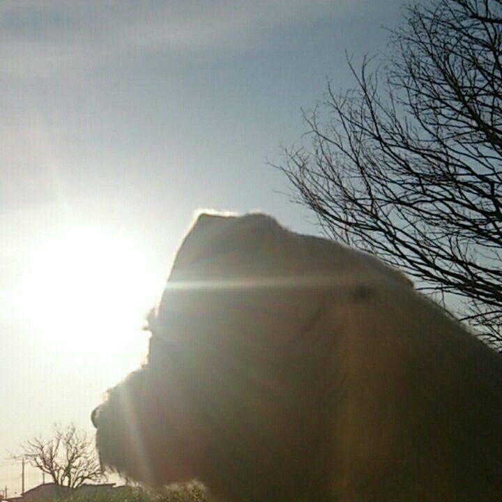 B9ea58de 16ef 42f1 b63c 15928e5adef3