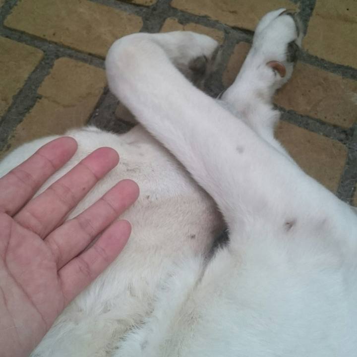 B9eb01ae cbf2 40c6 a8dc bc4682a99a29