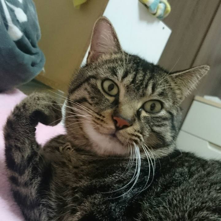 B9eb248b 72e5 4599 8878 51cb5282bd56