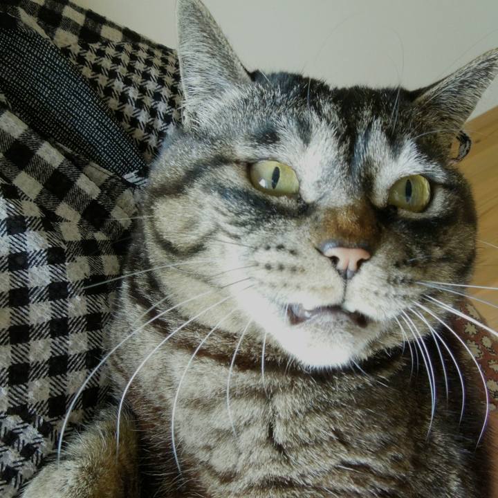 B9eb5af9 1b95 4068 a4ab 492e643814fb