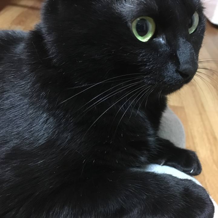 B9ebf248 a2de 45af b43f 9878f5ac7491