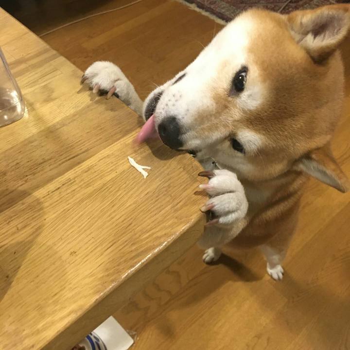 B9ec7c86 4004 40c6 8efd 586876bfcd8b