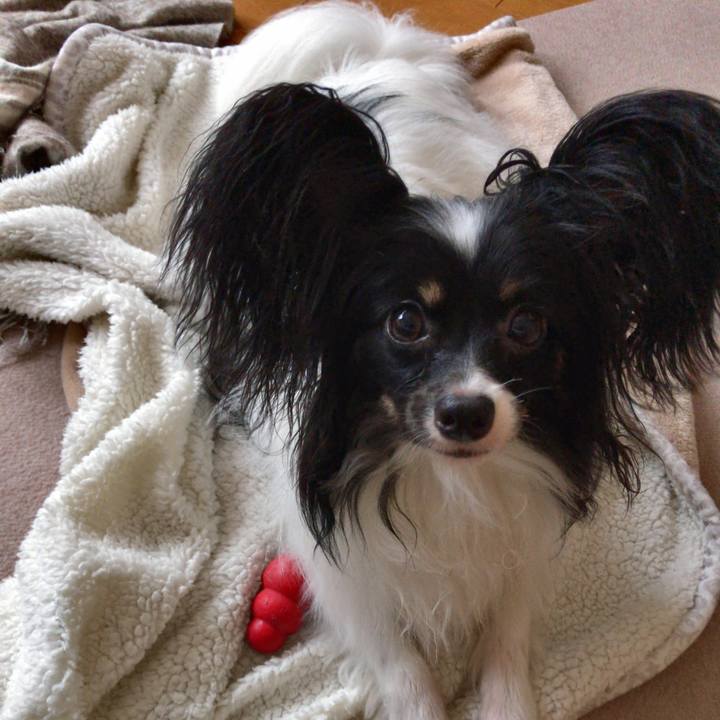 B9ecad5e d235 4a92 99aa c77252c3d17c