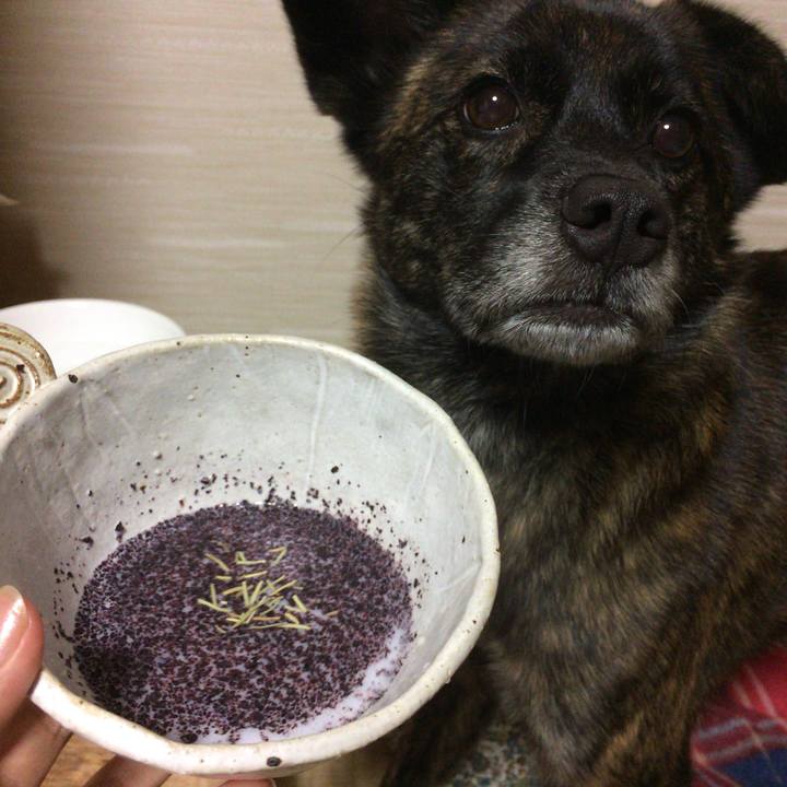 B9ecb1eb bef0 4c0d b91f 17a1901dd83c