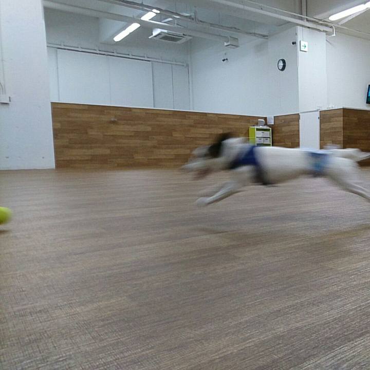 B9ed47e3 2134 49f9 acb7 9421a52f32a7