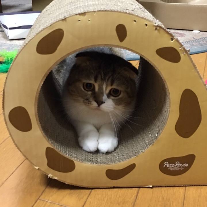 B9edd00a 325e 444f 8d95 d620a80277fc