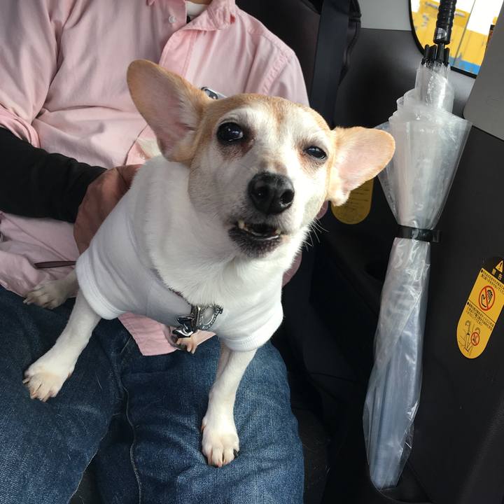 B9ee2e65 001b 4690 9de2 d0ec41d4dfb6