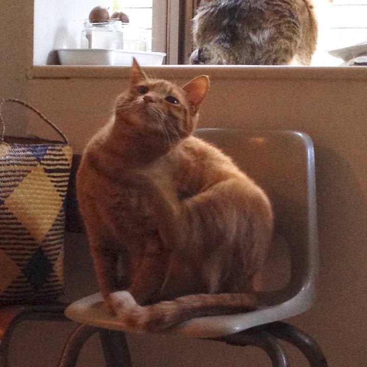 B9eec3a6 2dc1 4fd8 82de 2658332fdb3b