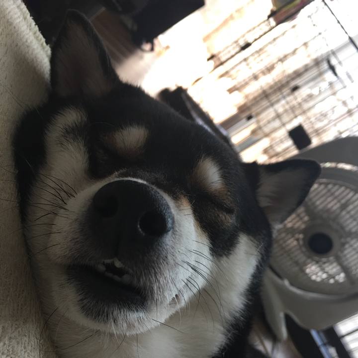 B9ef044f 79fa 4b69 ada8 665bc6eca410