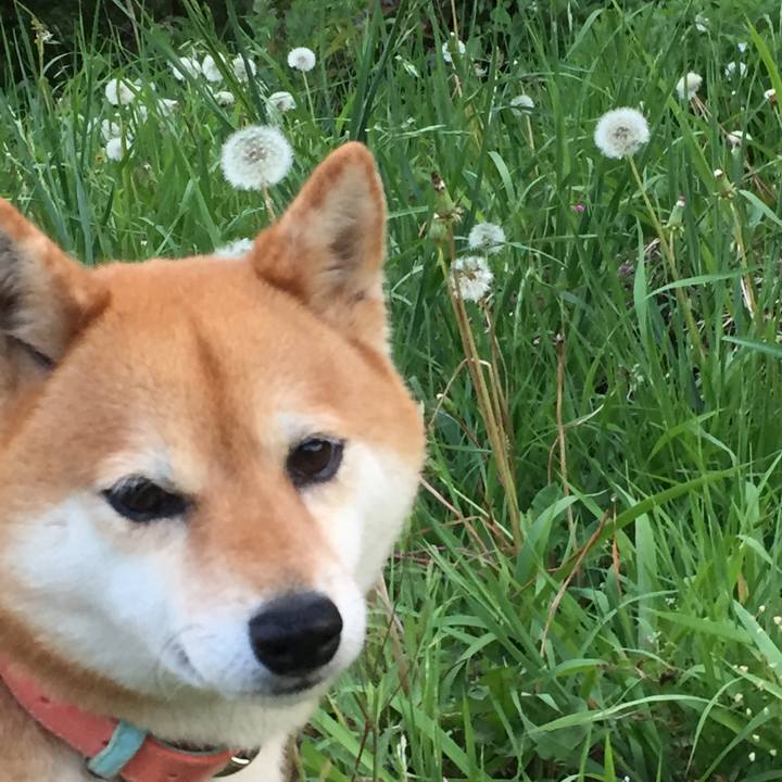 B9ef1545 5c73 4b91 b15f b3ba54c1f915