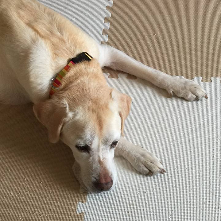 B9ef42ec 7155 4d2e a2f3 7787a356136f