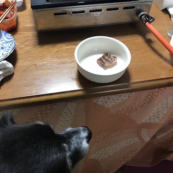 B9efebff 0748 4081 abb5 b14eb7a19655