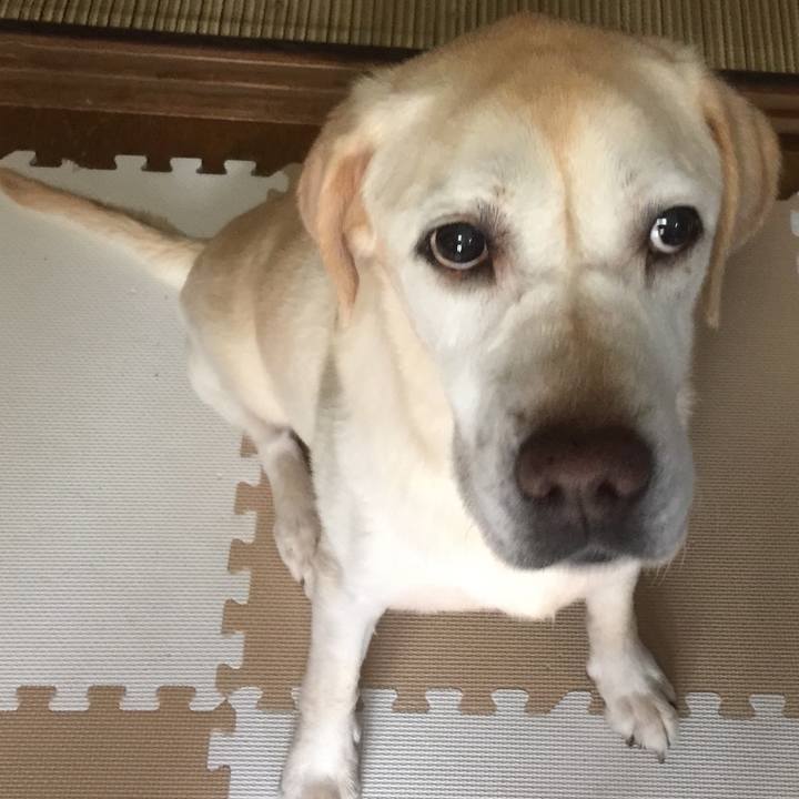 B9f06692 1544 4d47 9f17 ef403979f4d7