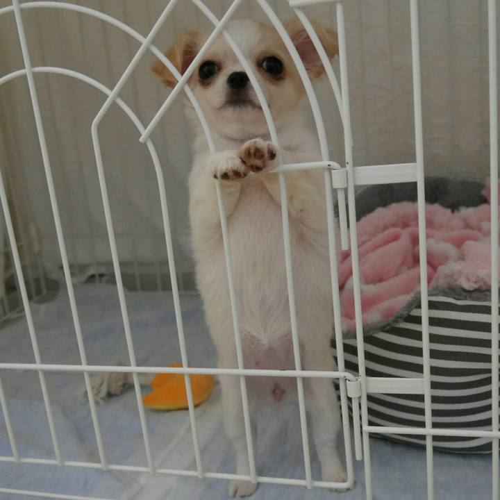 B9f0fd8f c035 45d1 bb47 6fc5635c4ffc