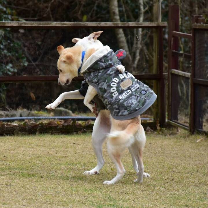 B9f1280c 22c6 4414 973b 1bb408a444b8