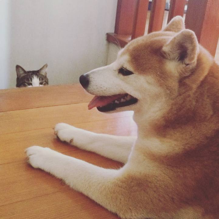 B9f1423e 2366 43a2 8fc5 485679ebc431