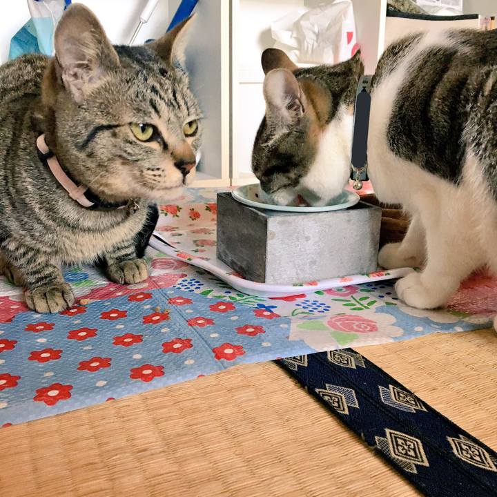 B9f14d22 acf4 4459 ae43 2c519751260a