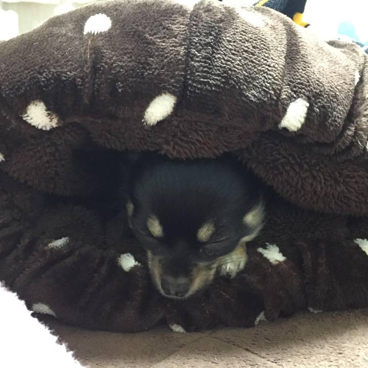 B9f1b846 b3bc 4343 a269 c54e024bd77f