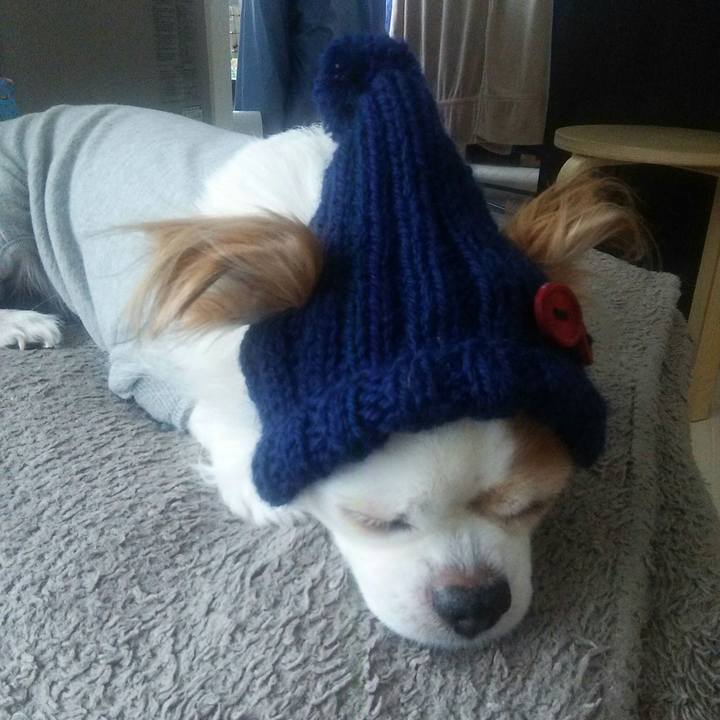 B9f261d0 8408 490f 8b26 3d6cabc2f8cd