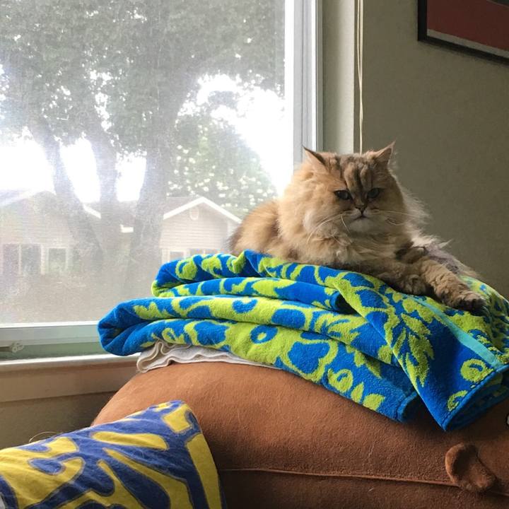 B9f28f7b 18f8 4259 ac21 1e082b8af205