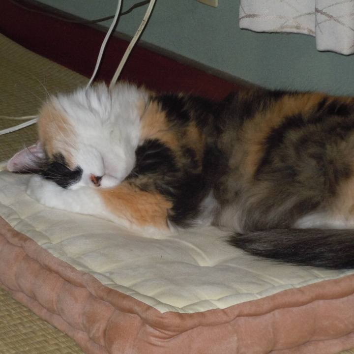 B9f28fc9 eed7 4a7c 93c5 131cf11219d5