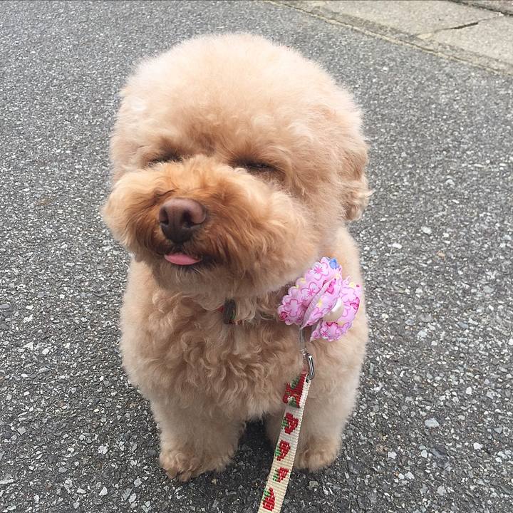 B9f324d6 a7dc 4ae6 827a 1ed6c7a26ed2