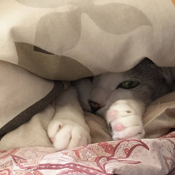 B9f33843 2900 4628 82c4 98a193b4d238