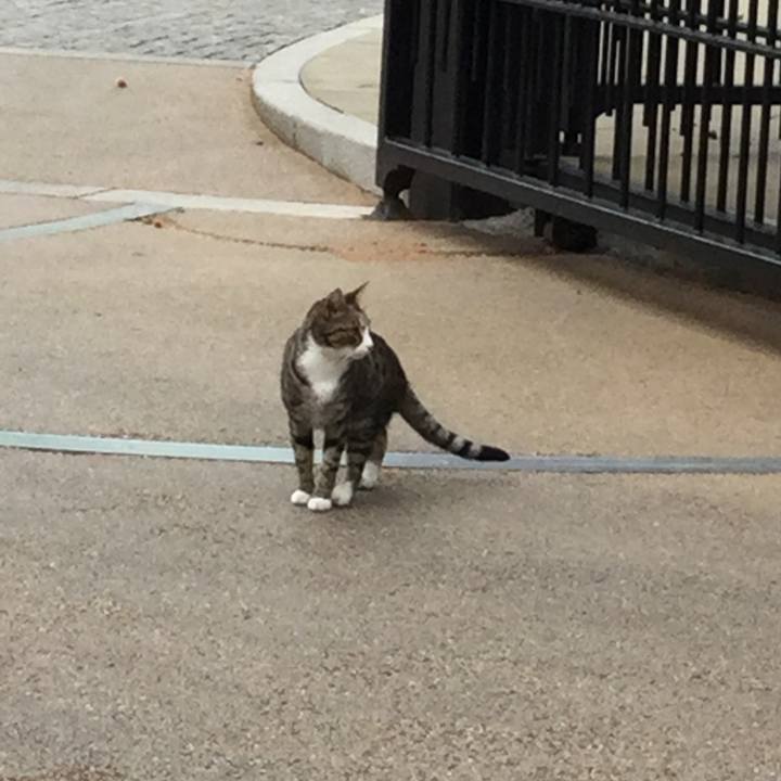 B9f33f72 f739 4d4a 8744 919bb84c1ba1