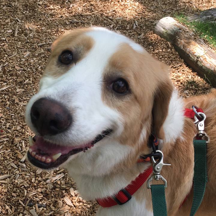 B9f3a07e e465 4632 8d22 2f35a48675d3