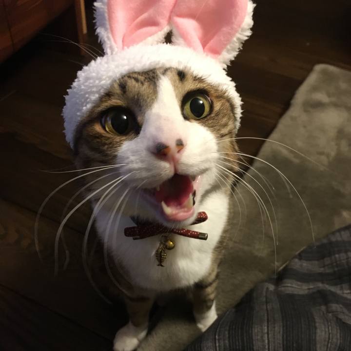 B9f437bb baea 48fc af9e a47041317b5d